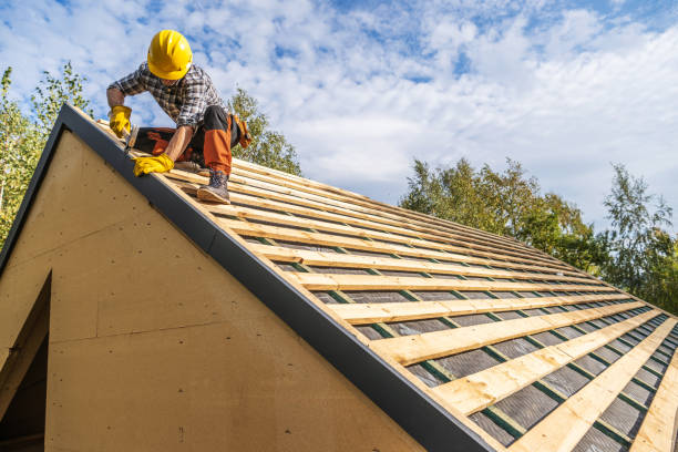 Roof Gutter Cleaning in North Bend, NE